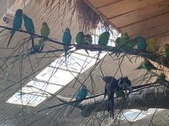 -南宫五洲植物乐园