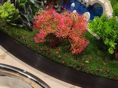 -大汗行宫园林餐厅