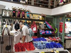 -猫咪博物馆(顶澳仔猫街店)