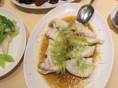 清蒸石斑-镛记酒家
