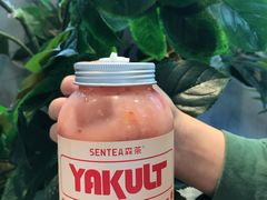 草莓益力多-SENTEA森茶(麦地丽日店)