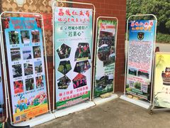 -荔枝红五号农庄