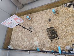 -怪兽屋·羊驼·猫咖·狗咖(俊华广场店)