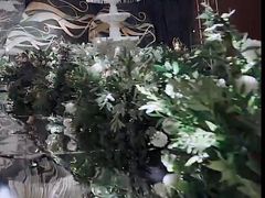 -广州白天鹅宾馆