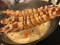 -鲜入围煮花胶鸡海鲜火锅