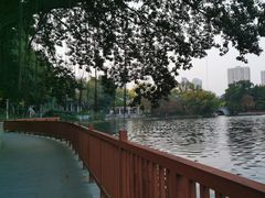 -荔湾湖公园