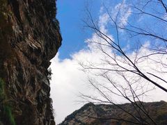 -少华山国家森林公园