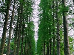 -南北湖风景区