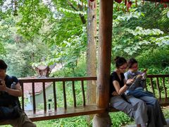 -九华山风景区月身宝殿