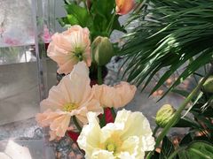 -Flower in(密渡桥店)