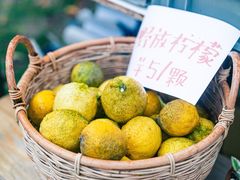 -杭州植物园