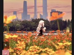 -海珠湖公园