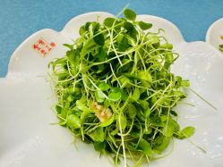 -金老三饭庄·宴会厅(常营店)