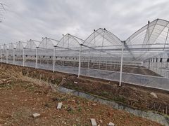 -广富林郊野公园