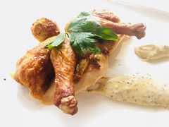 -蝶舍·MAISON PAPILLON