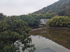 -九龙潭景区