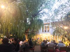 -Fern Forest Cafe