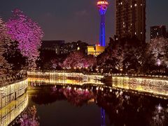-红星桥(地铁站)