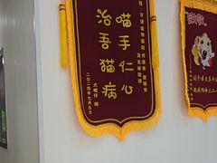 -守诺宠物医院·眼科· 特色牙科·异宠专科(虹口店)