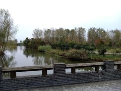 -溱湖国家湿地公园