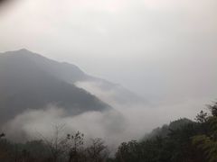 -华溪森林公园-售票处