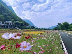 -万峰林风景区