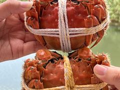 -欢乐蟹庄·精品农家乐(阳澄湖莲花岛店)