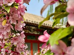 -海棠花溪(元大都城垣遗址公园)