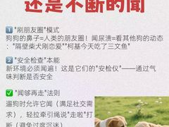 -瑞派天使宠物医院·神经外科·骨科·核磁CT(洛川中路店)