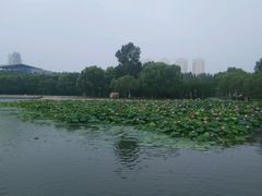 android_upload_pic-长春世界雕塑园冰雪艺术天地