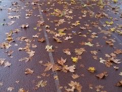 android_upload_pic-陕西师范大学(雁塔校区)