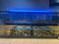 -冀粤香海鲜自助餐厅(西美五洲店)