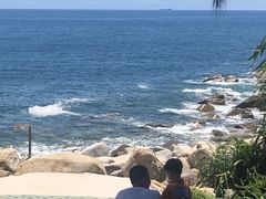 -广东惠东海龟国家级自然保护区