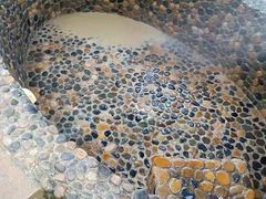 -100蛋泥浆浴
