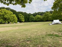 -上海共青森林公园