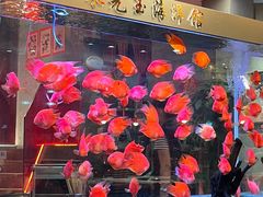 -朱光玉火锅馆(正弘城店)