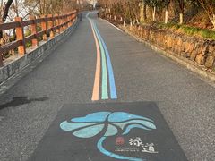 -杭州半山国家森林公园