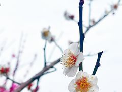 -宁波市保国寺古建筑博物馆