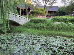 -堤角公园