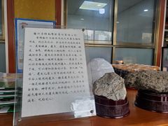 -吾穆勒蓬灰牛肉面·清真(北滨河中路店)