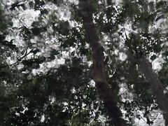 -徐记海鲜(大雁塔|金都店)