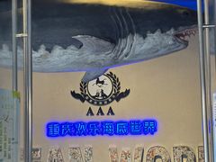 -重庆欢乐海底世界