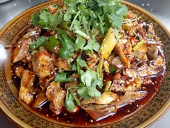 凉拌土鸡-对又来老费饭店