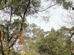 -广州市白云山风景名胜区