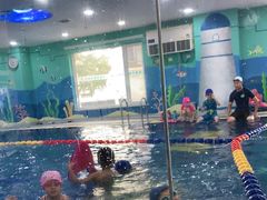-小泳士游泳训练基地(芥园西道店)