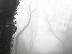 -达蓬山旅游度假区