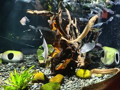 -太平洋海底世界