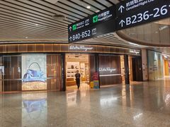 -广州白云国际机场-T2航站楼
