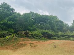 -海南热带野生动植物园