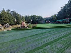 -蒙古大营(朝阳公园店)
